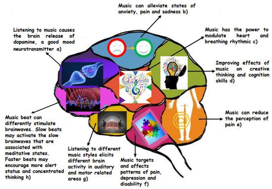 The Science Behind Signals, Sound, and Vibration